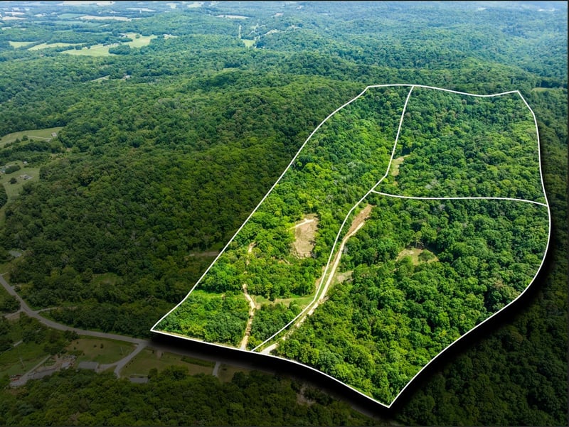 0 Preacher Holt Rd, Mount Pleasant, TN 38474