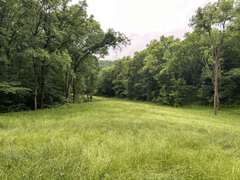 0 Preacher Holt Rd, Mount Pleasant, TN 38474