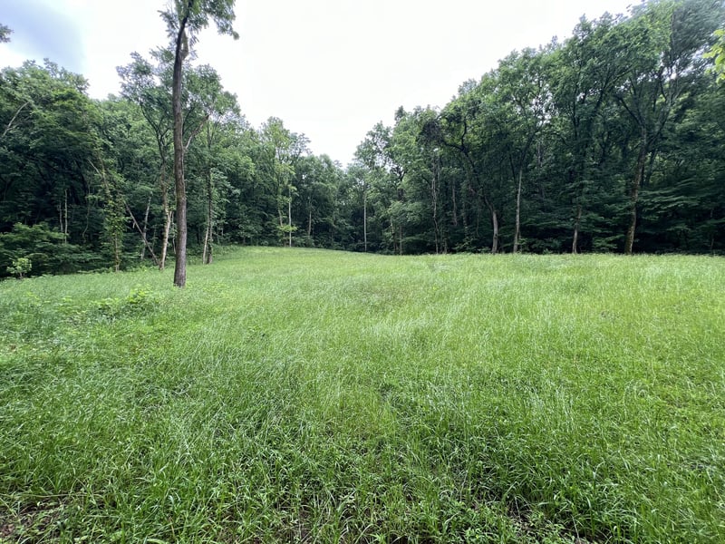 0 Preacher Holt Rd, Mount Pleasant, TN 38474