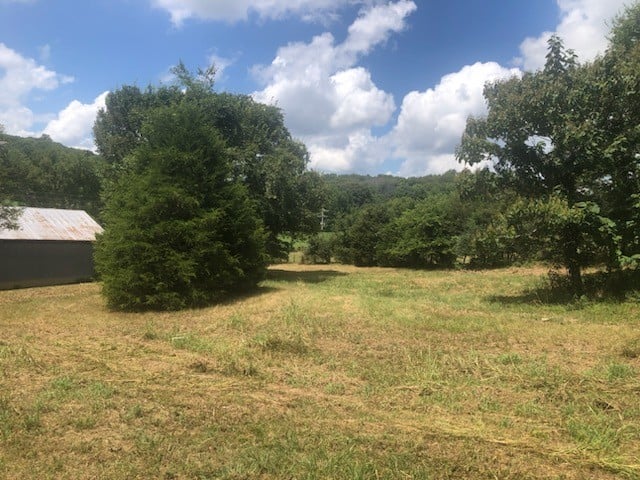 0 Roy Thompson Rd, Mount Pleasant, TN 38474