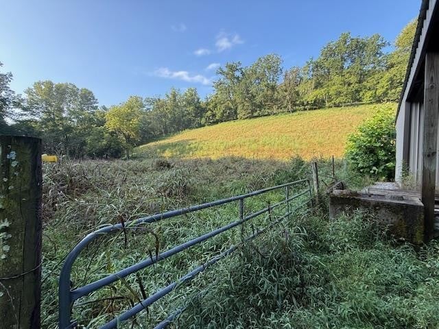 29 Patterson Ln, Pleasant Shade, TN 37145