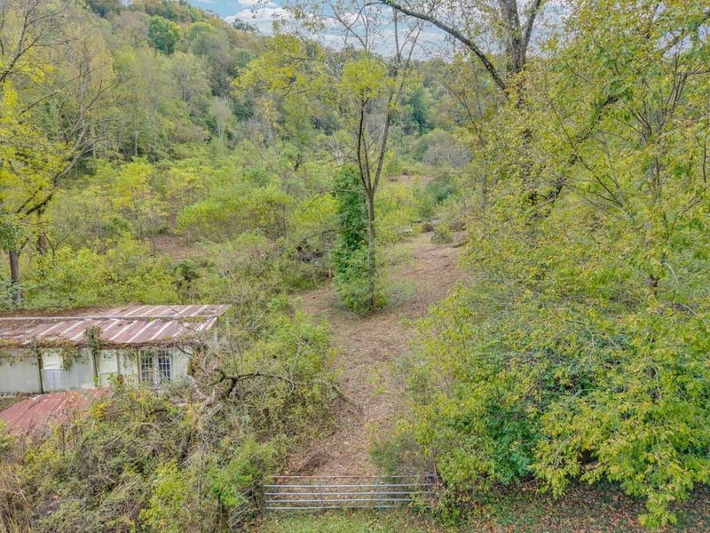 0 Watts Hollow Rd, Buffalo Valley, TN 38548