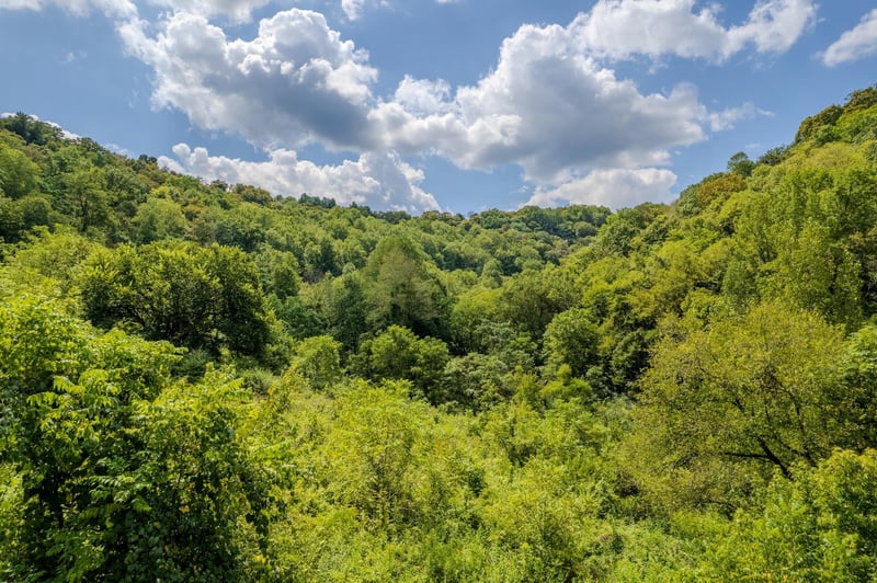 0 Watts Hollow Rd, Buffalo Valley, TN 38548