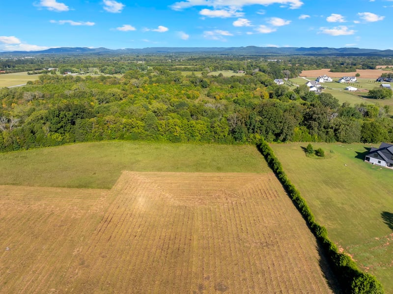 4002 Sledge , Christiana, TN 37037