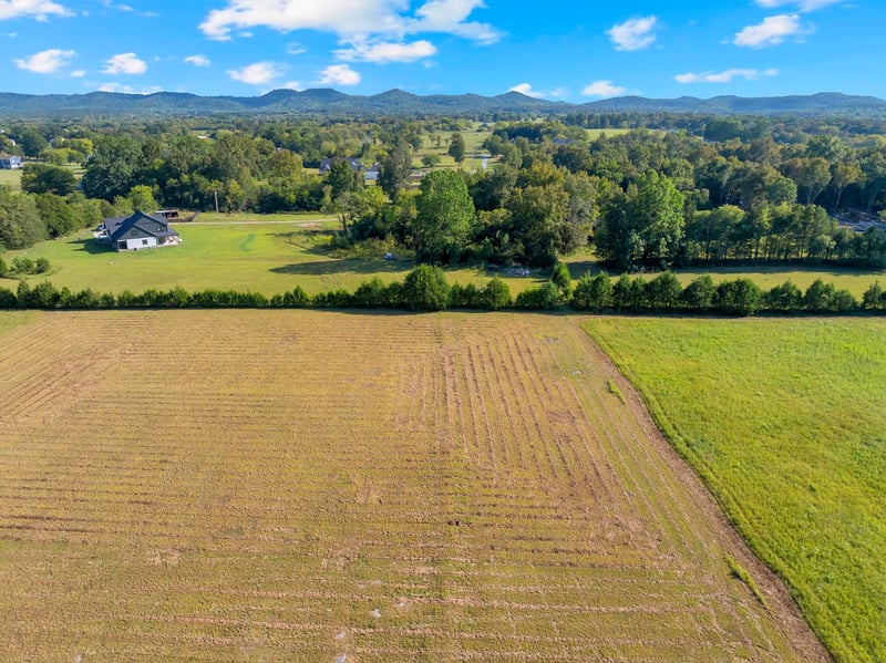 4002 Sledge , Christiana, TN 37037