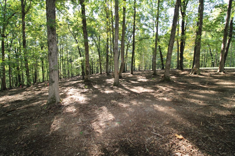 5717 Quest Ridge Rd, Franklin, TN 37064