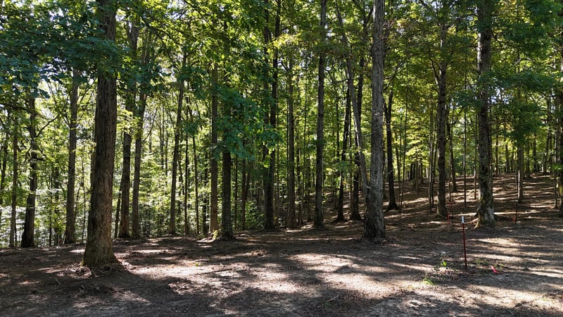 5717 Quest Ridge Rd, Franklin, TN 37064