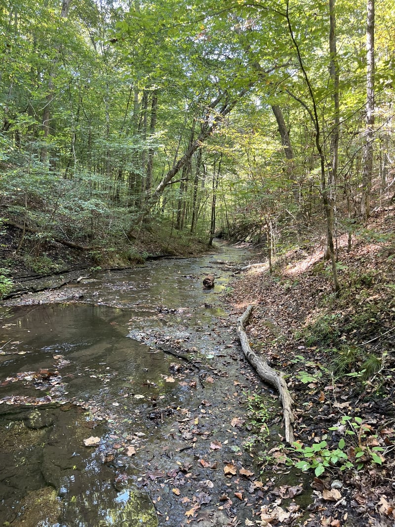 5717 Quest Ridge Rd, Franklin, TN 37064