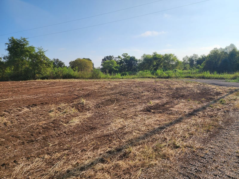 6685 Williams Rd, Christiana, TN 37037