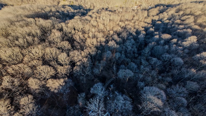 1843D Garrison Branch Rd, Cottontown, TN 37048