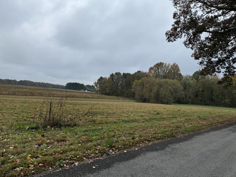 5257 Fred Perry Rd, Springfield, TN 37172