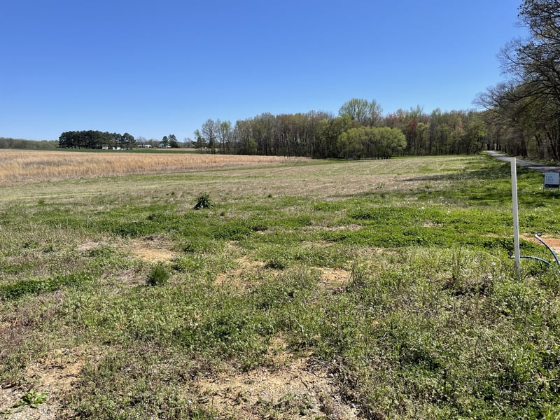 5257 Fred Perry Rd, Springfield, TN 37172