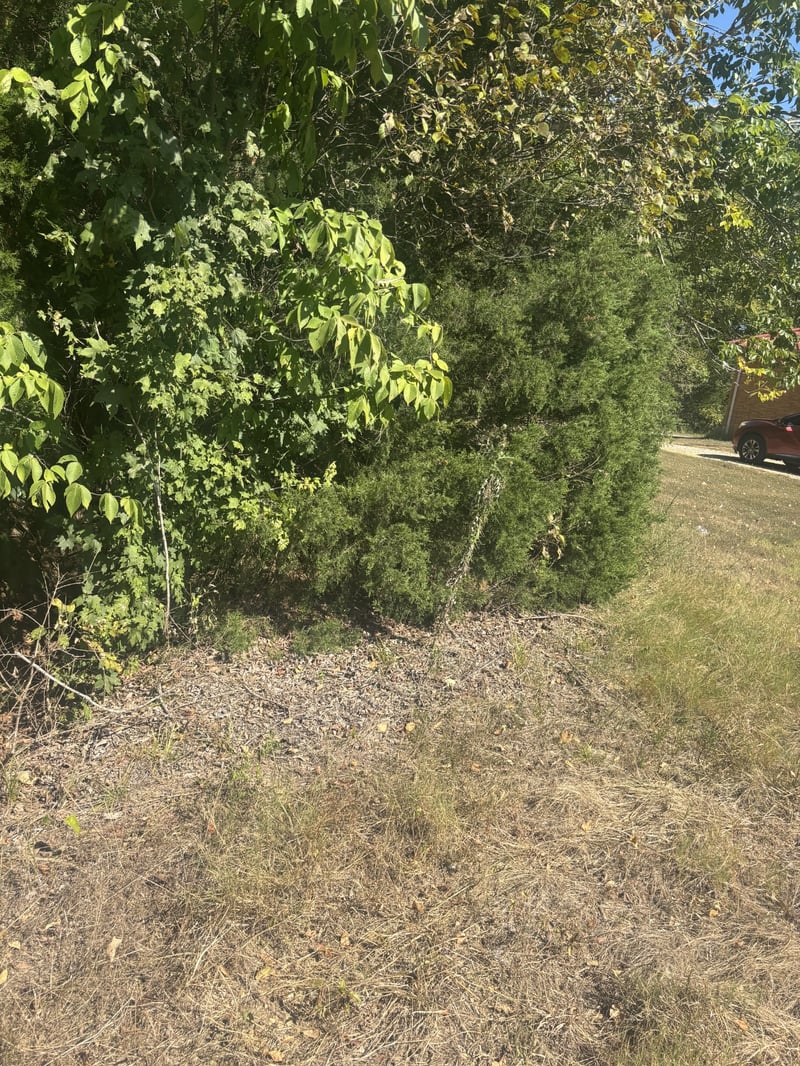 0 Hwy 48 N, Cumberland Furnace, TN 37051