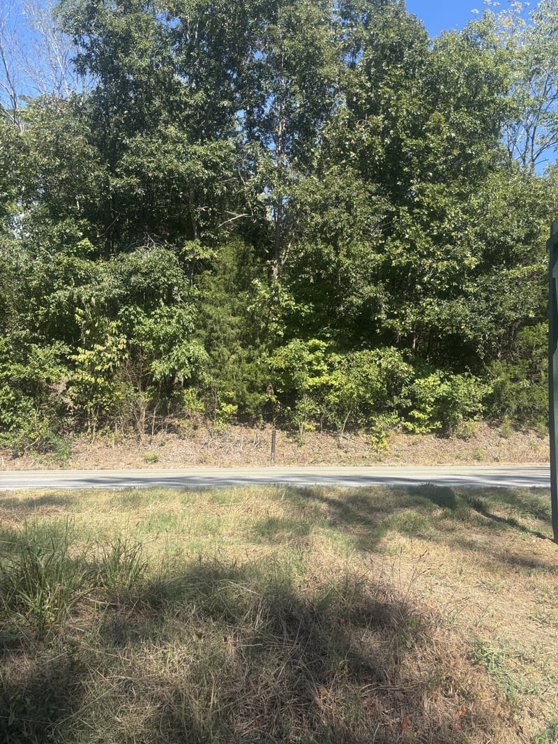 0 Hwy 48 N, Cumberland Furnace, TN 37051