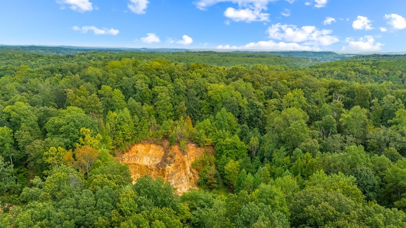 Baptist Branch Rd, Mount Pleasant, TN 38474