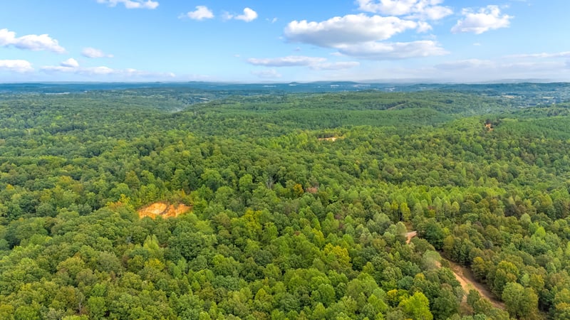 Baptist Branch Rd, Mount Pleasant, TN 38474