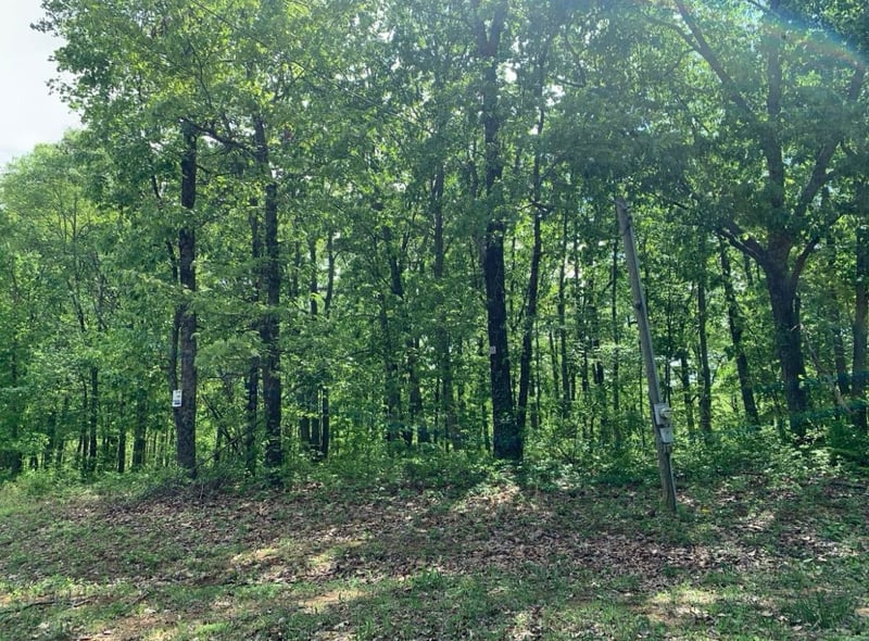 1011 Frontier Acres Dr, Pegram, TN 37143