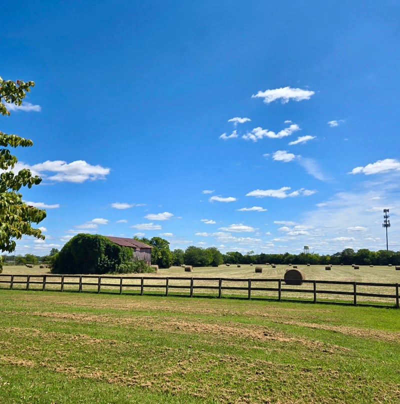 215 Carver Ln, Lebanon, TN 37087