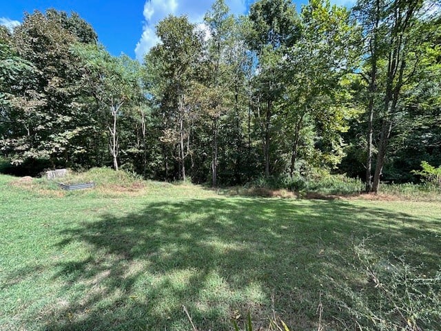 3966 Perkins Rd, Thompsons Station, TN 37179