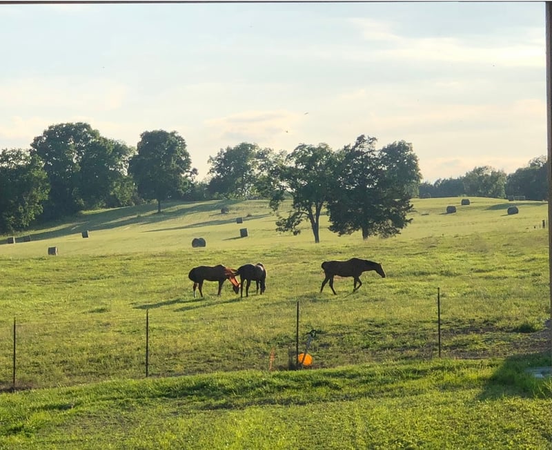 5542 Se Tater Peeler Rd, Lebanon, TN 37090