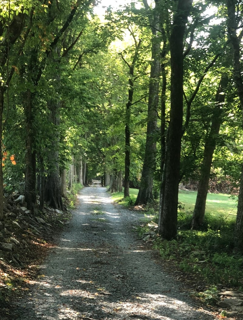 5542 Se Tater Peeler Rd, Lebanon, TN 37090