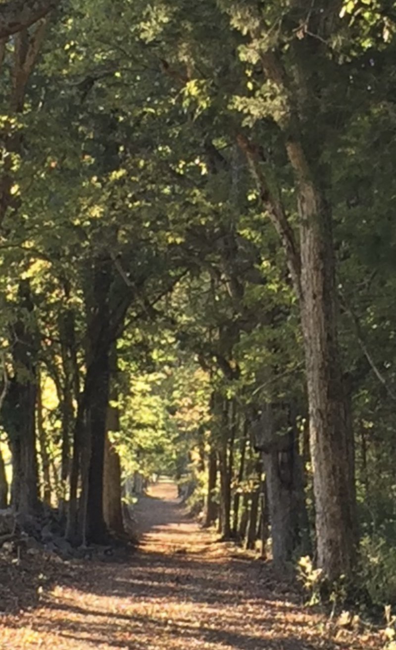 5542 Se Tater Peeler Rd, Lebanon, TN 37090