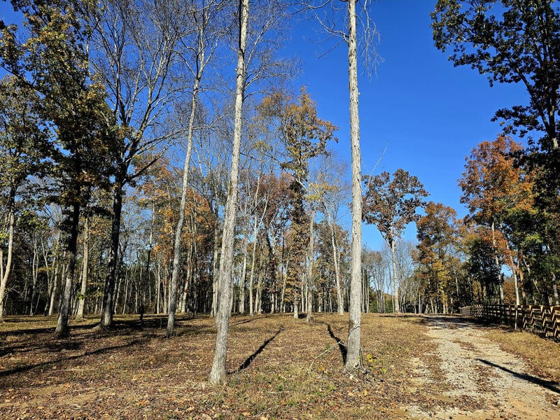 4821 Kedron Rd, Spring Hill, TN 37174