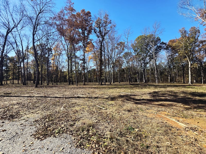 4821 Kedron Rd, Spring Hill, TN 37174