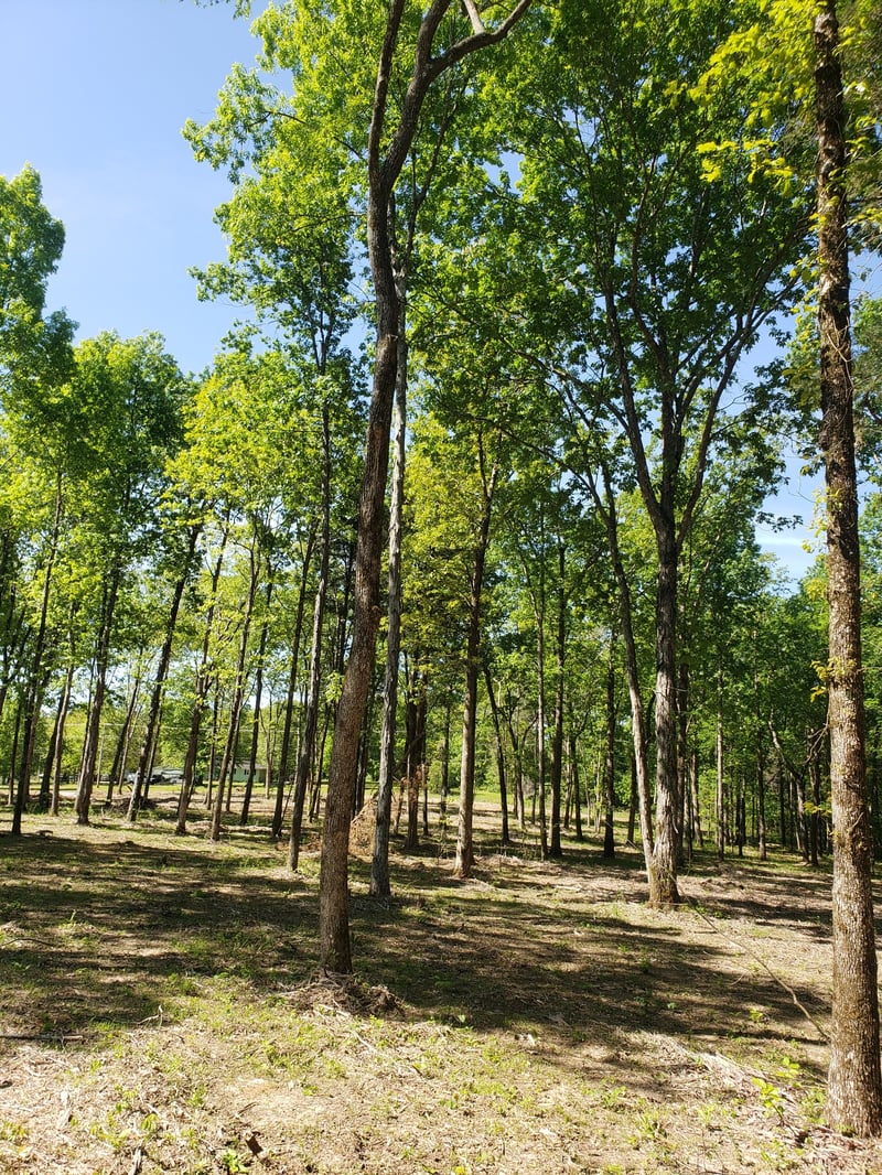 4821 Kedron Rd, Spring Hill, TN 37174