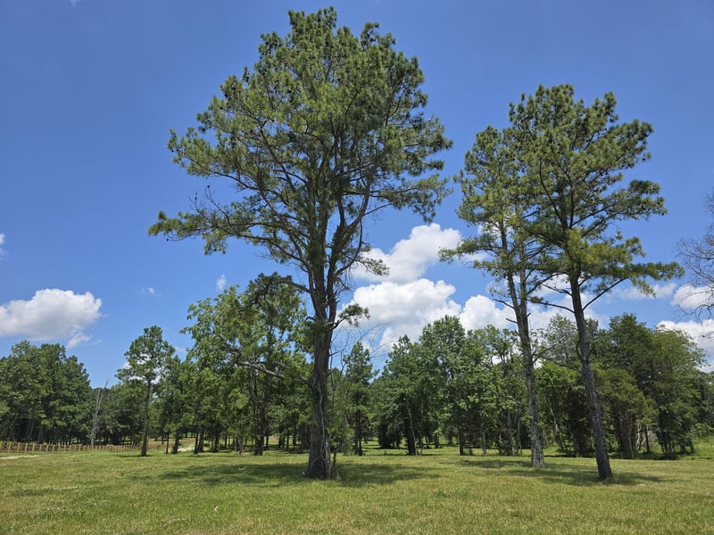 4869 Kedron Rd, Spring Hill, TN 37174