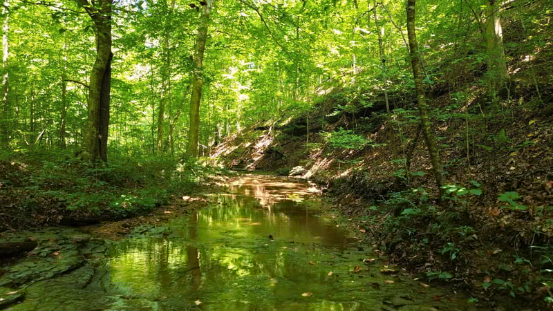 8218 Old Pond Creek Rd, Nashville, TN 37209