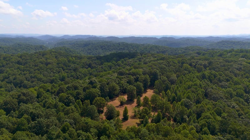 8218 Old Pond Creek Rd, Nashville, TN 37209