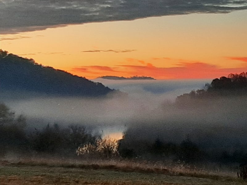 222 Cook Hollow Ln, Pleasant Shade, TN 37145