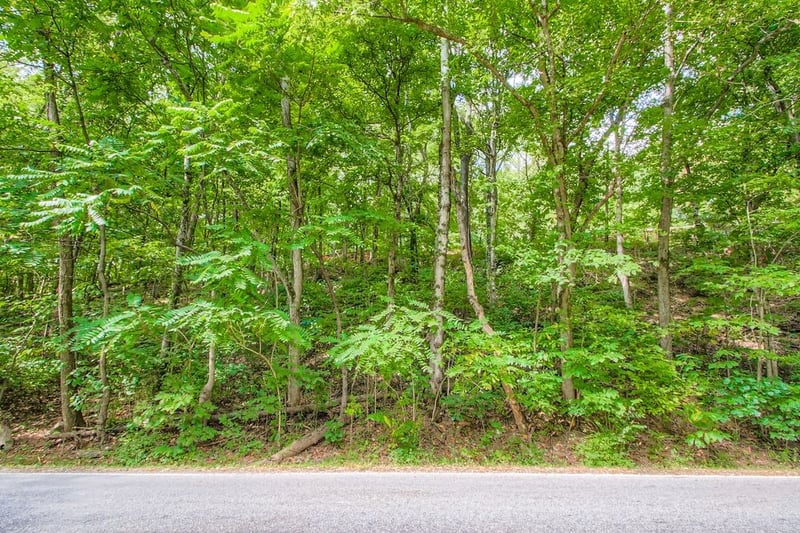 0 Brick Church Pike, Whites Creek, TN 37189