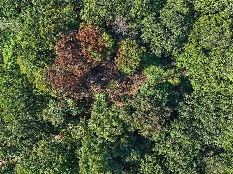 5535 Old Hickory Blvd, Nashville, TN 37218