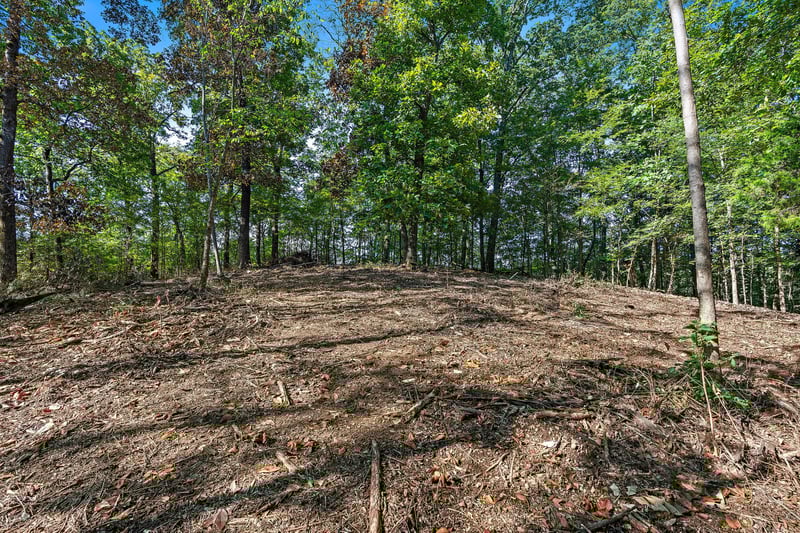 5535 Old Hickory Blvd, Nashville, TN 37218