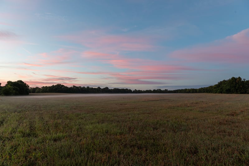 3021 Del Rio Pike, Franklin, TN 37069