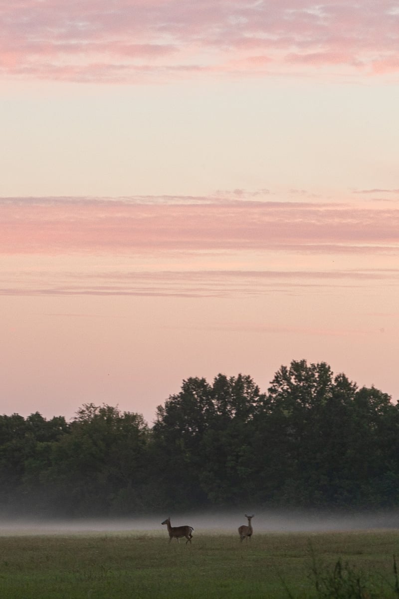 3021 Del Rio Pike, Franklin, TN 37069