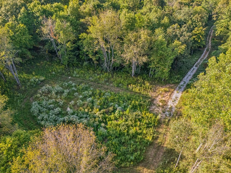 3294 Burr Rd, Springfield, TN 37172