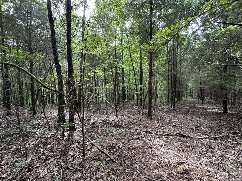 352 Kirby Hill Rd, Ashland City, TN 37015