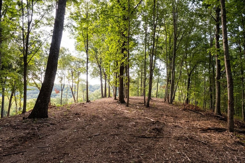 1520 Natchez Rd, Franklin, TN 37069