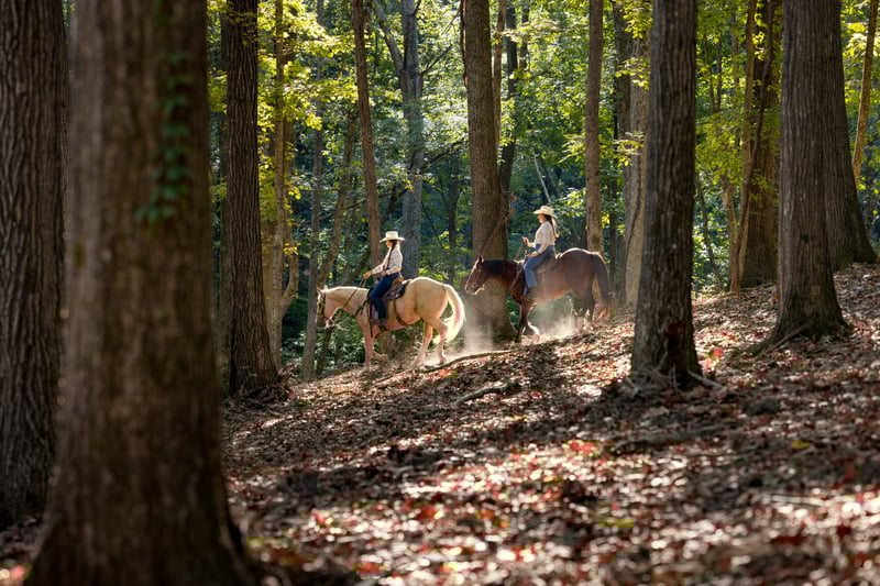 1520 Natchez Rd, Franklin, TN 37069