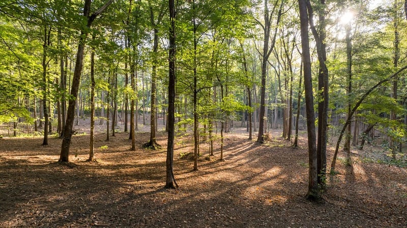 1520 Natchez Rd, Franklin, TN 37069