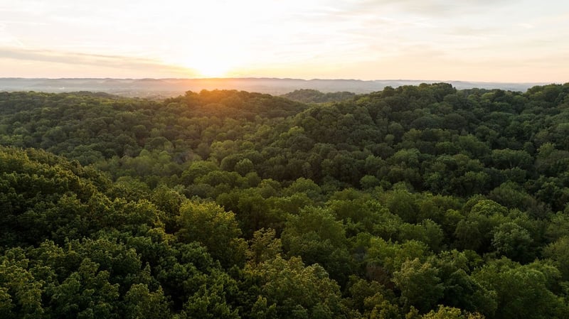 1520 Natchez Rd, Franklin, TN 37069