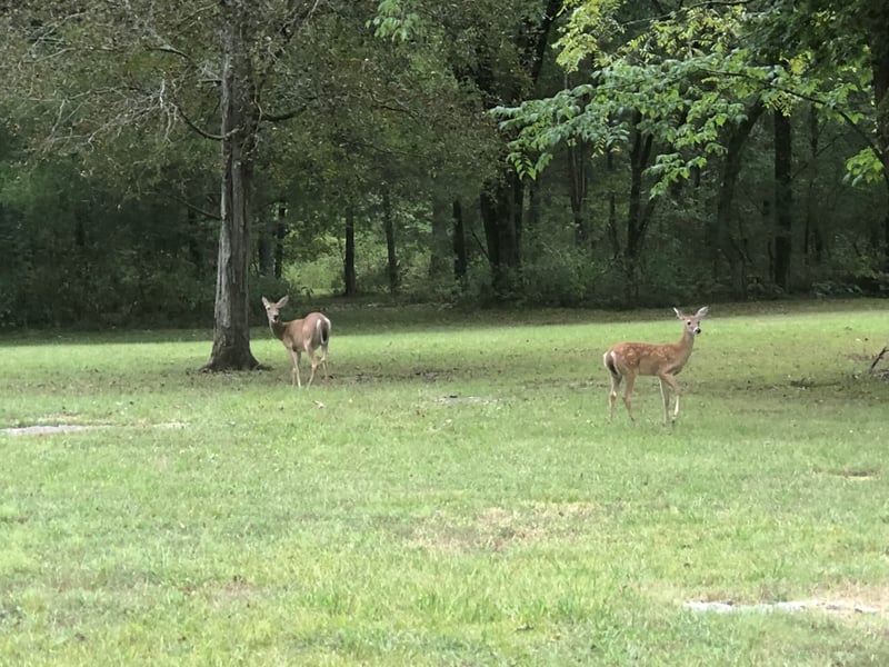 0 Joe Brown Rd, Murfreesboro, TN 37129