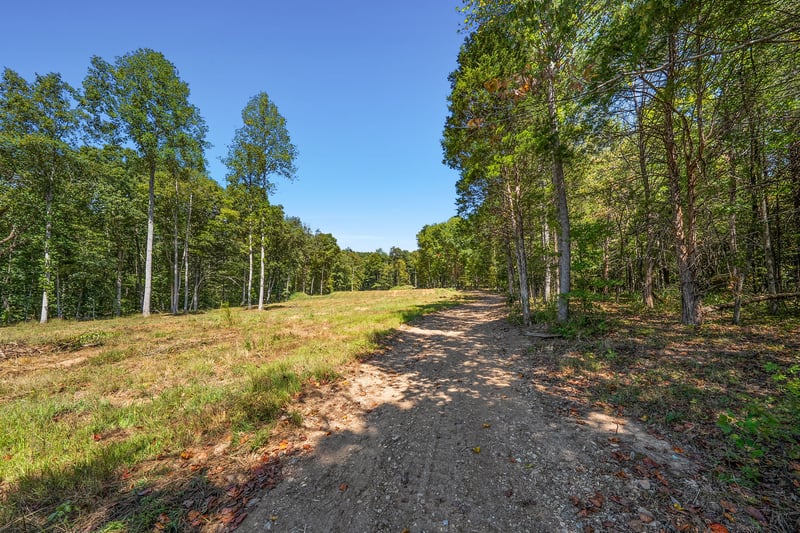 261 Norris Hollow Rd, Vanleer, TN 37181