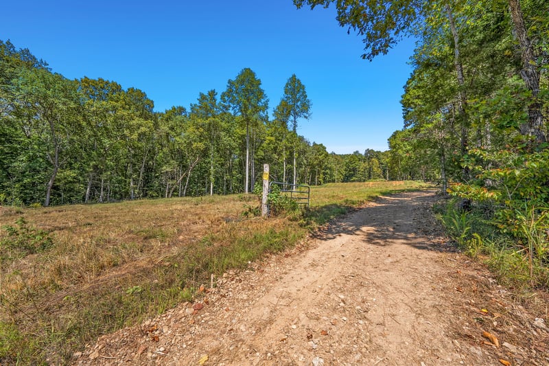 261 Norris Hollow Rd, Vanleer, TN 37181