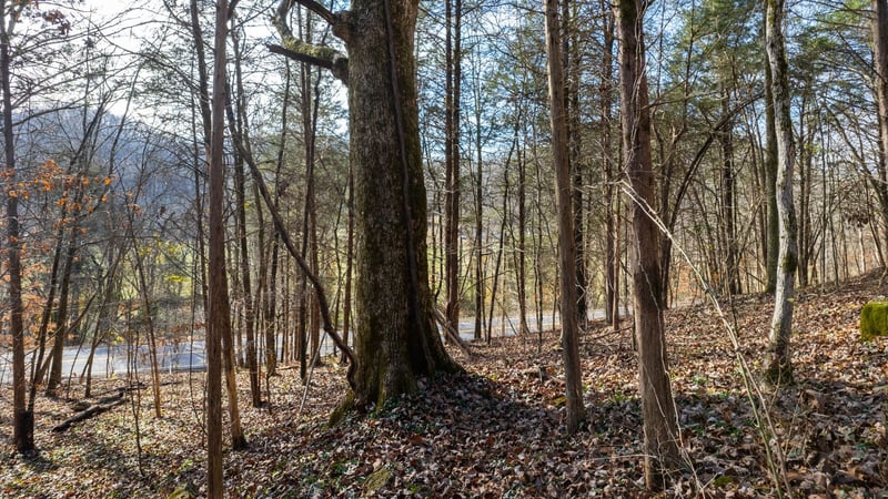 0 Whites Creek Pike, Whites Creek, TN 37189