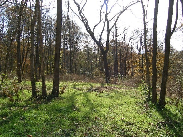 0 Sugar Rg, Spring Hill, TN 37174