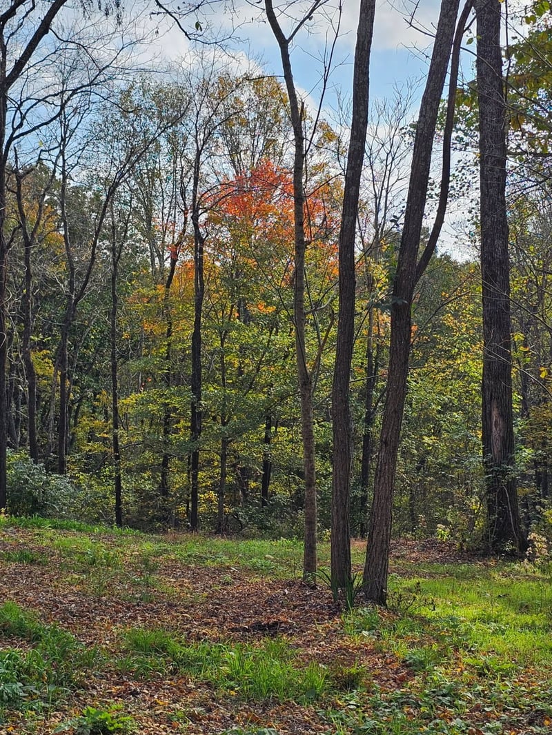 0 Sugar Rg, Spring Hill, TN 37174